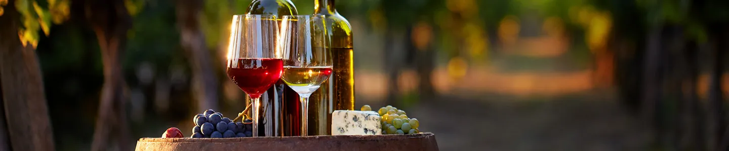 Glasses of wine on a table